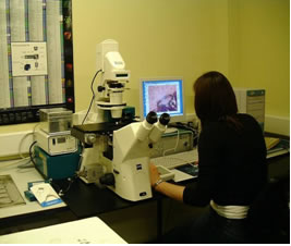Image of a cryosection of bone