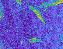 Photo from Polarscope